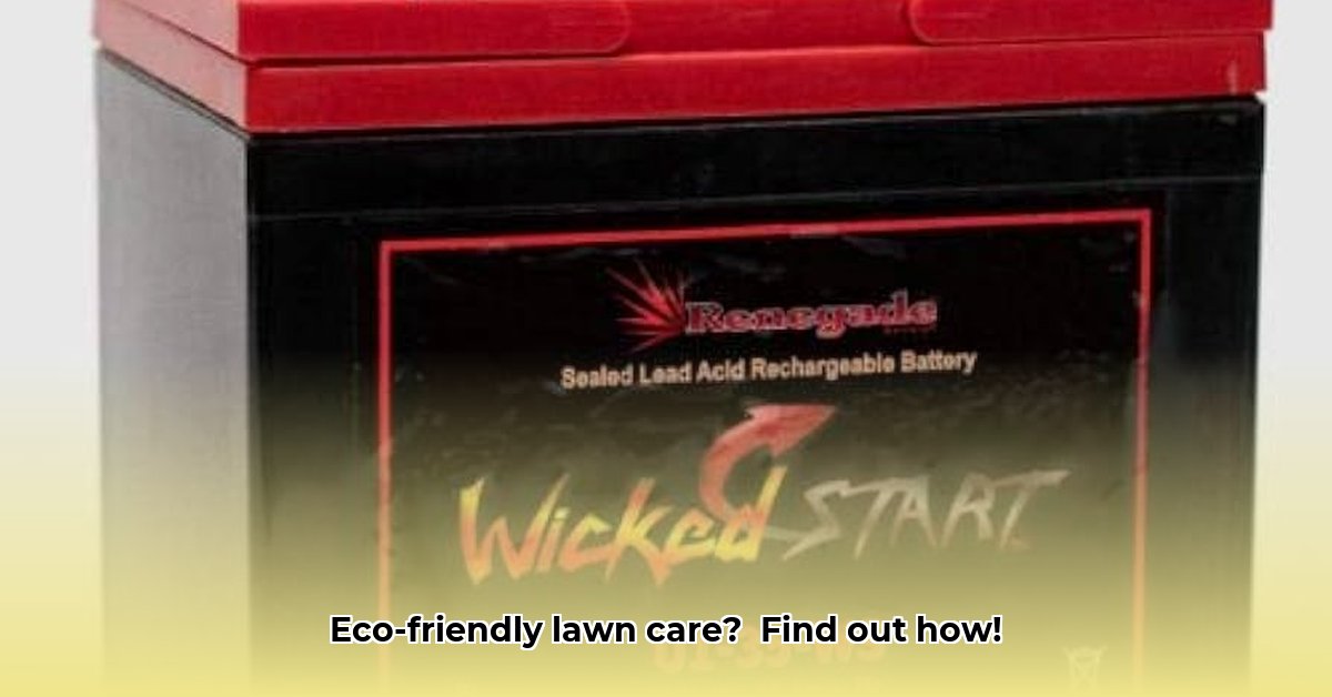 mower-battery-tractor-supply